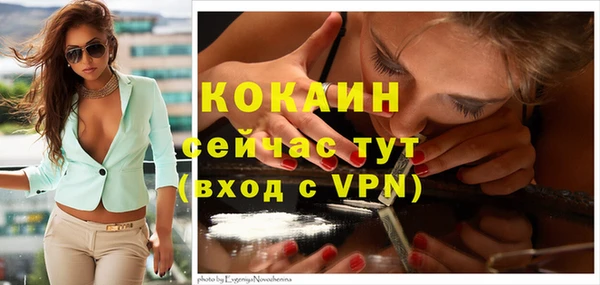 Альфа ПВП Белокуриха