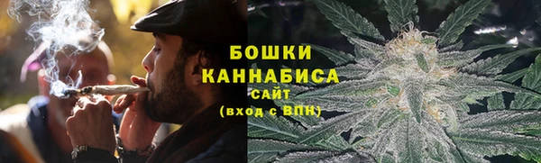 Альфа ПВП Белокуриха