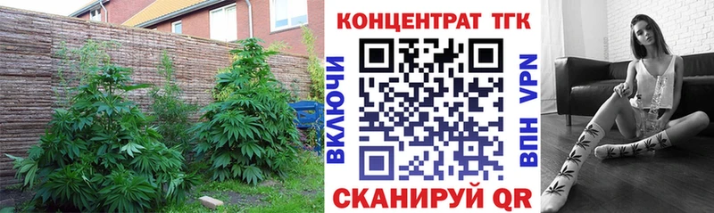 купить наркотики цена  Нестеров  ТГК жижа 