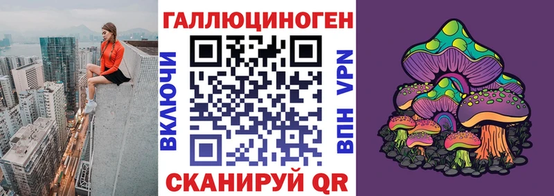 дарнет шоп  Нестеров  Псилоцибиновые грибы мухоморы 